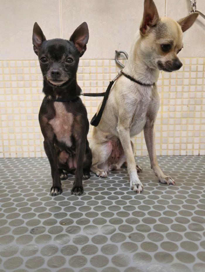 image_13E7DD56FD468D