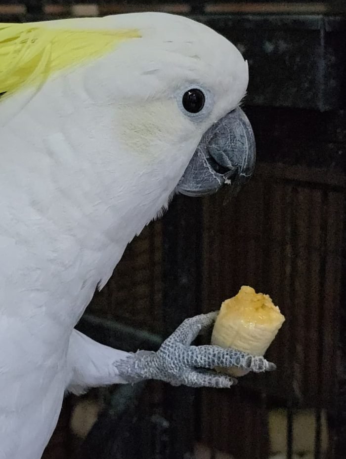 image_197BF258957171