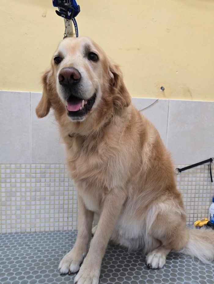 image_1DFA2F5363C65E