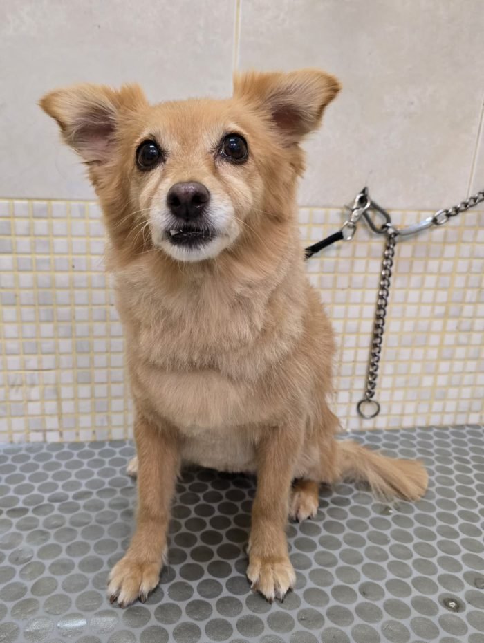 image_64096701C998AD