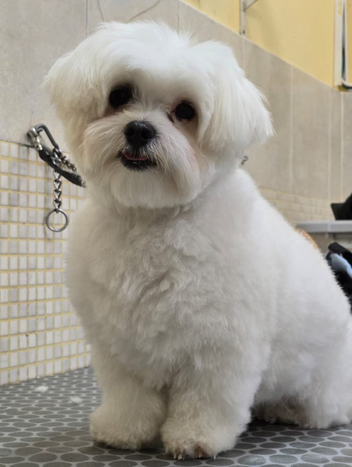 image_92EEB0FA6D061A