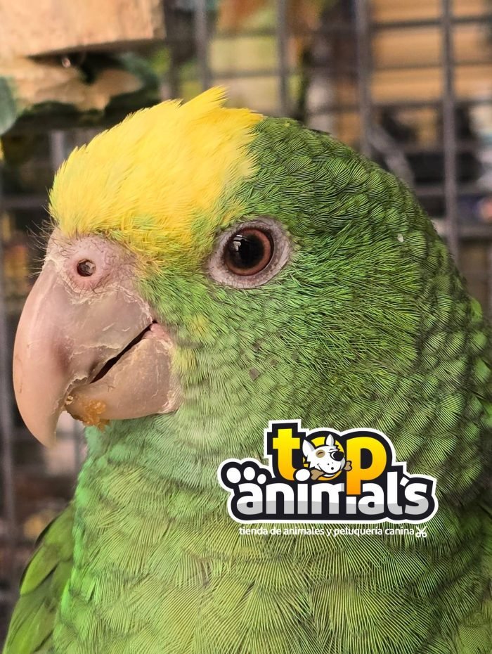 image_9B4D1A24B7ADB4