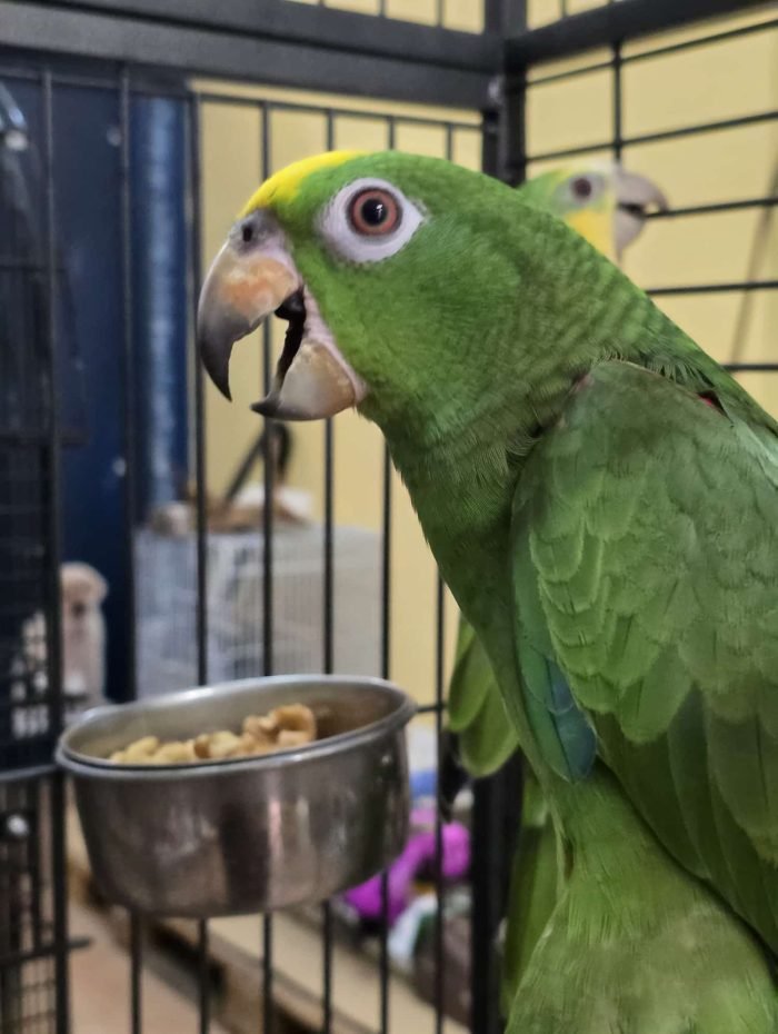 image_A37CE8F5611ECE