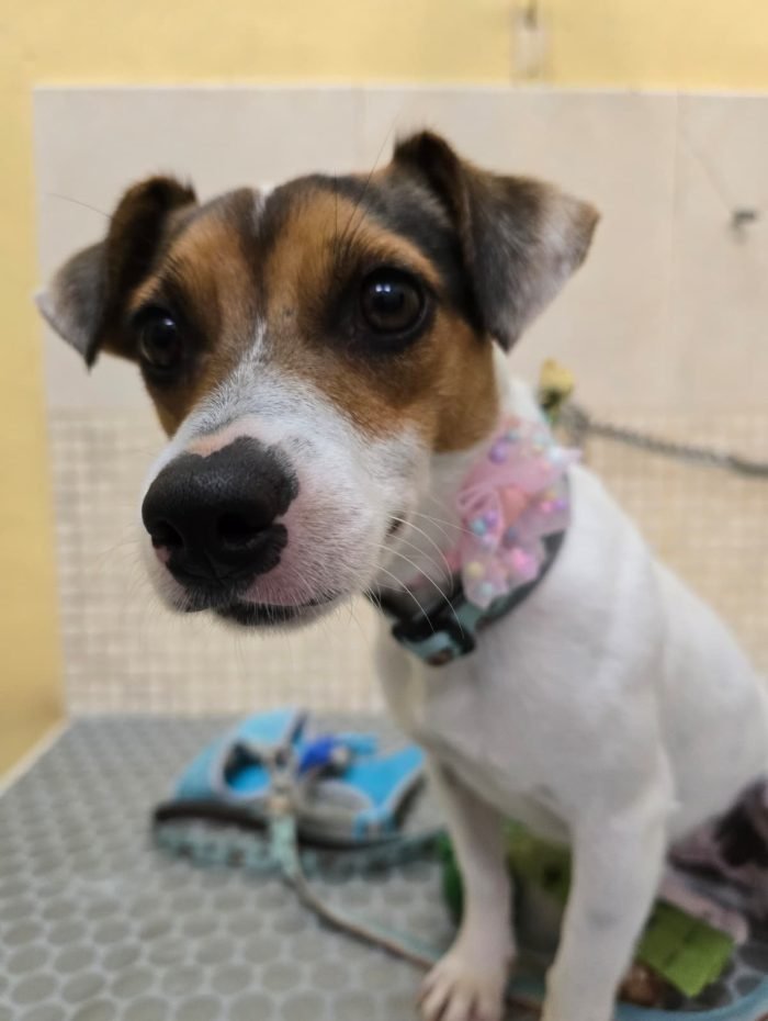 image_AC44C485A56C94