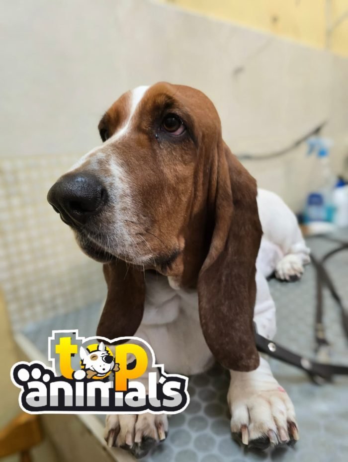 image_F4A8EC519DEAA7