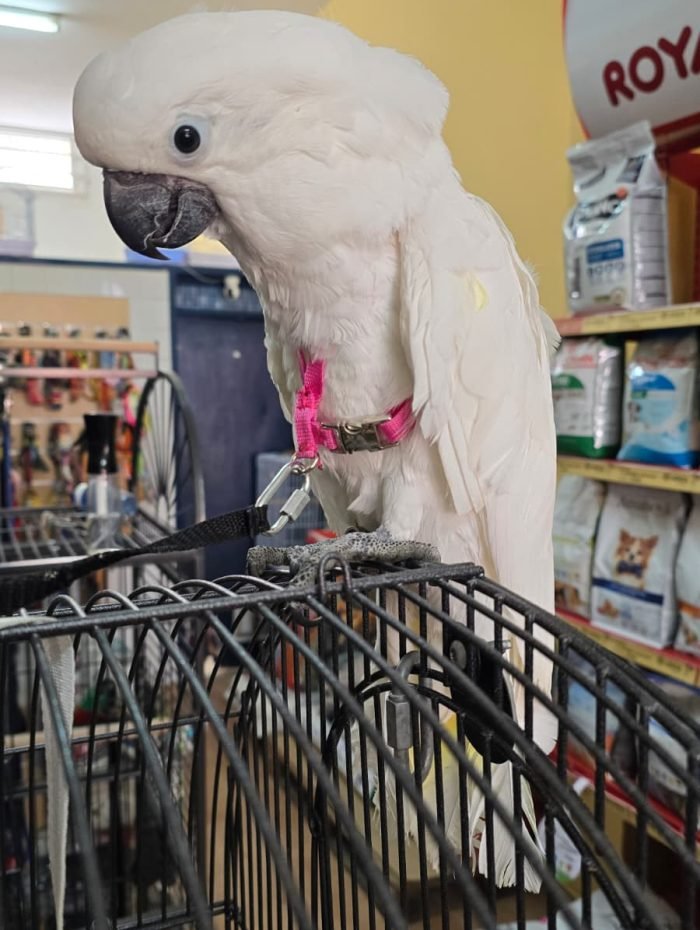 image_F7E334A46F6951